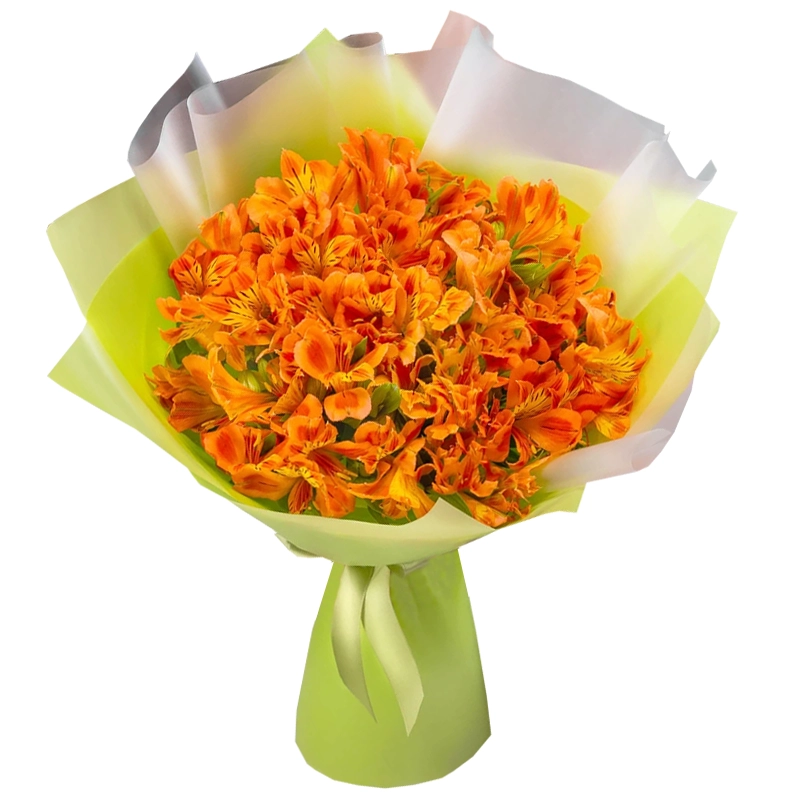 Букет из 25 оранжевых альстромерий